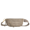 Charles Crossbody | Pewter/Brushed Gold
